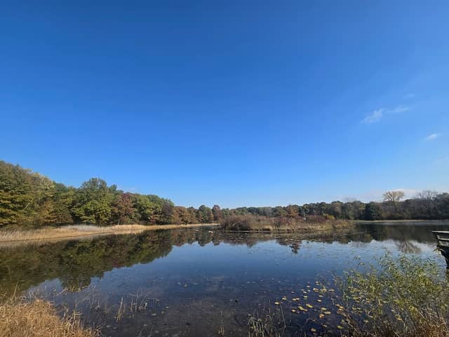 Oak Ridge Prairie & Oak Savannah Trail park - Image 2