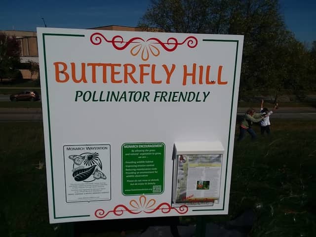 Butterfly Hill - Image 2