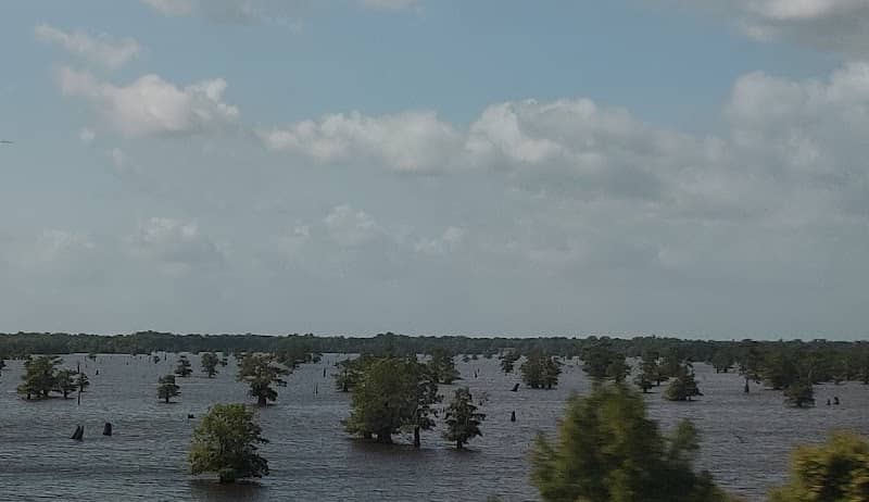 Lake Bigeaux - Image 1
