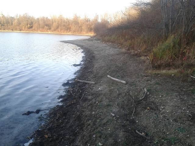 Donaualtwasser nach Staustufe Bergheim - Image 1