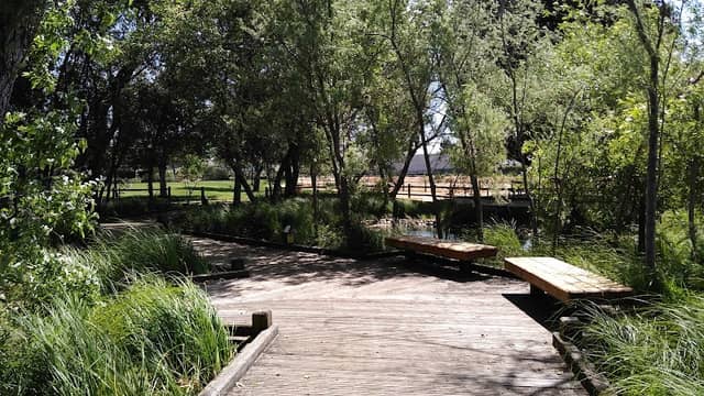 Edith Morley Park - Image 2