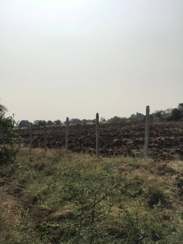 Paidigummal - Image 1