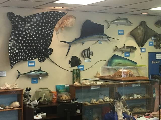 Ostego Bay Foundation Marine Science Center - Image 2