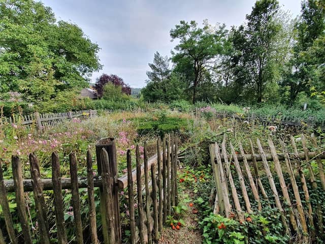 Kreislehrgarten Glashütten - Image 3