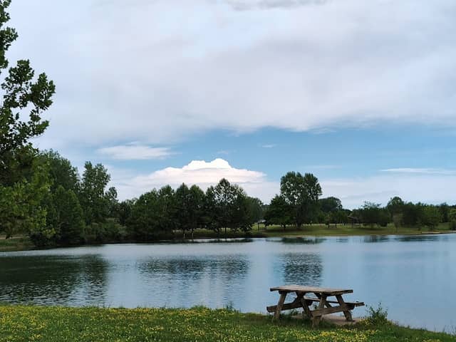 Mavis Island - Image 2