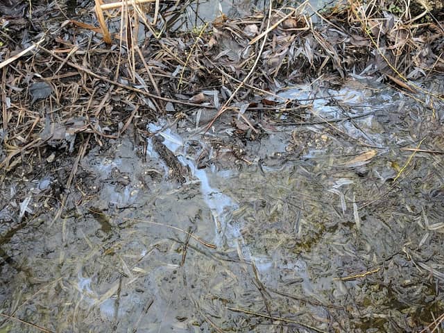 Murdock Groundwater Cleanup Project - Image 1