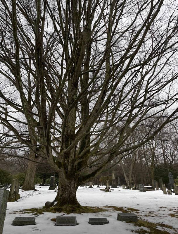 Greendale Cemetery Nature Preserve - Image 1