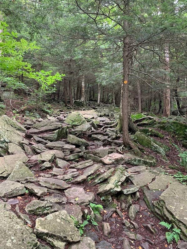 Slide Mountain Peak - Image 3