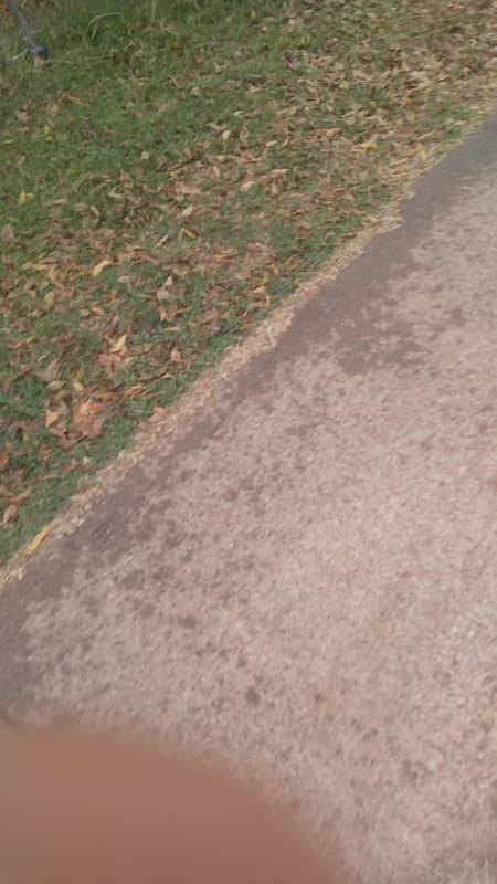 Jarratt Park - Image 1