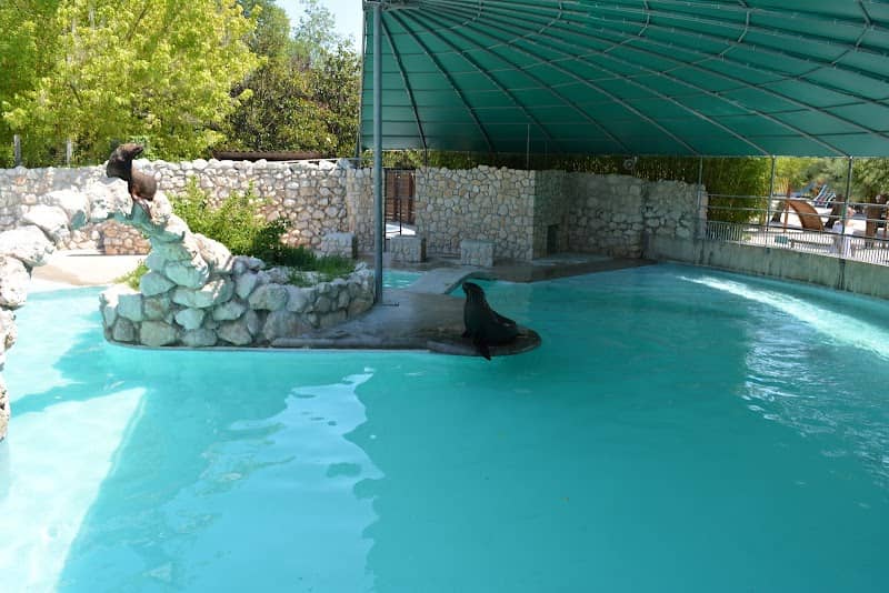 Parco Zoo Punta Verde - Image 1