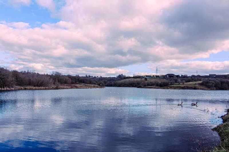 Buckpool and Fens Pool Local Nature Reserve - Image 1