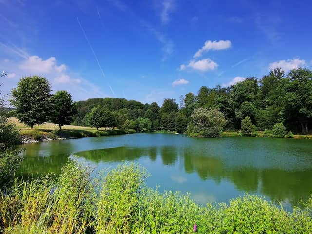 Hasselweiher - Image 1