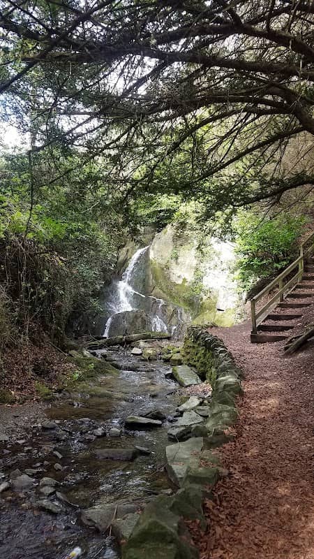 Dean Burn Waterfall - Image 2