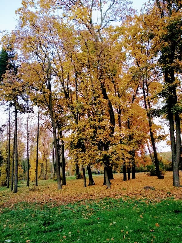 Park - Image 1