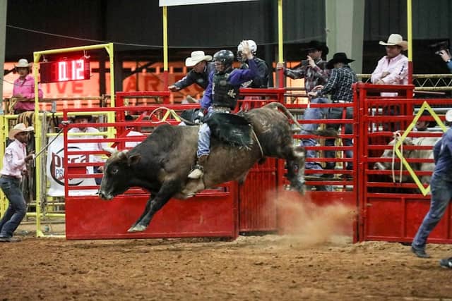 Ocala Shrine Rodeo - Image 2