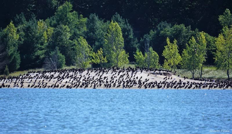 Dune Harbor Park Muskegon County - Image 1