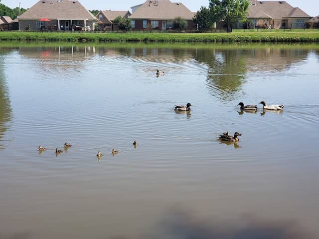 Latimer Lake Park - Image 1