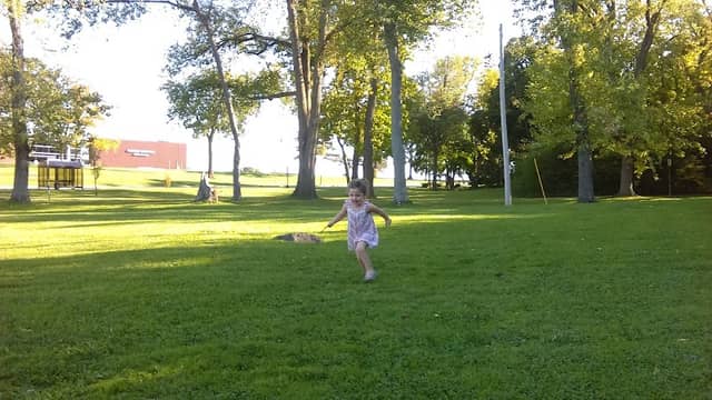 Mobley Park - Image 2