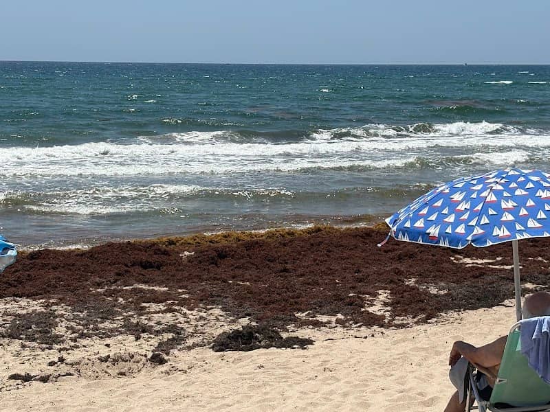Public Beach Access - Image 1