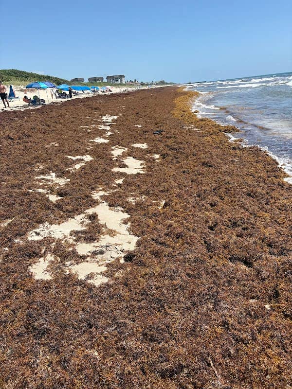 Public Beach Access - Image 2