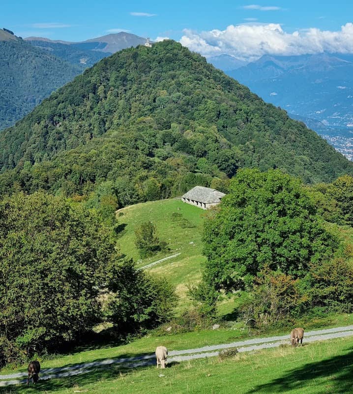 Sostra del Pian delle Alpi - Image 2