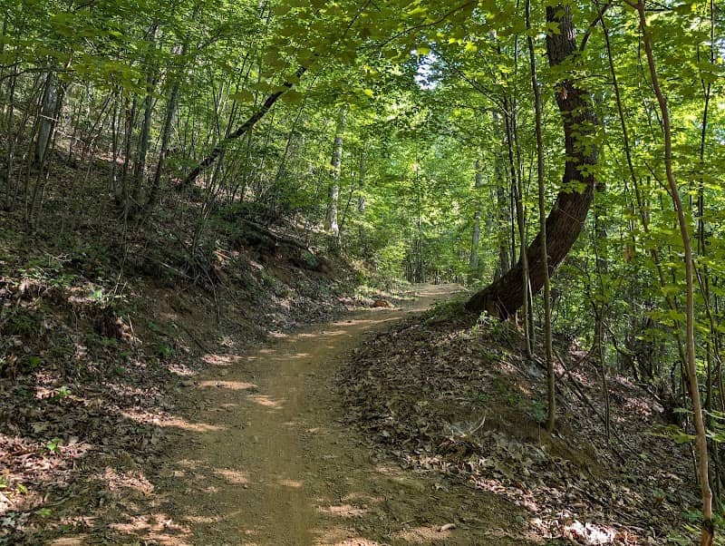 Chestnut Mountain Nature Park - Image 1