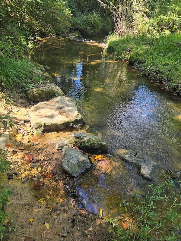 Mill Creek Preserve - Image 2