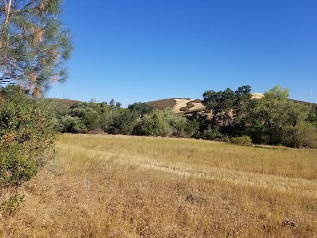 River Of Skulls Trail - Image 3