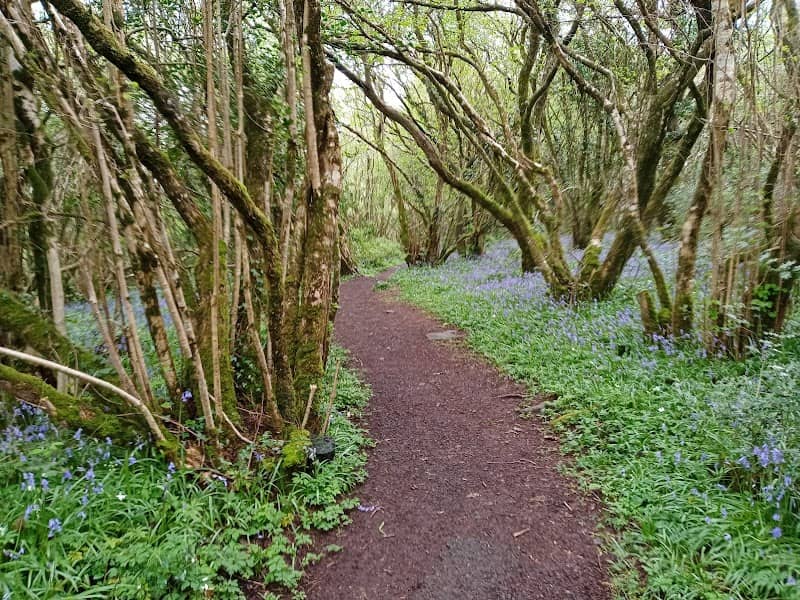 Drumnaph Nature Reserve - Image 1