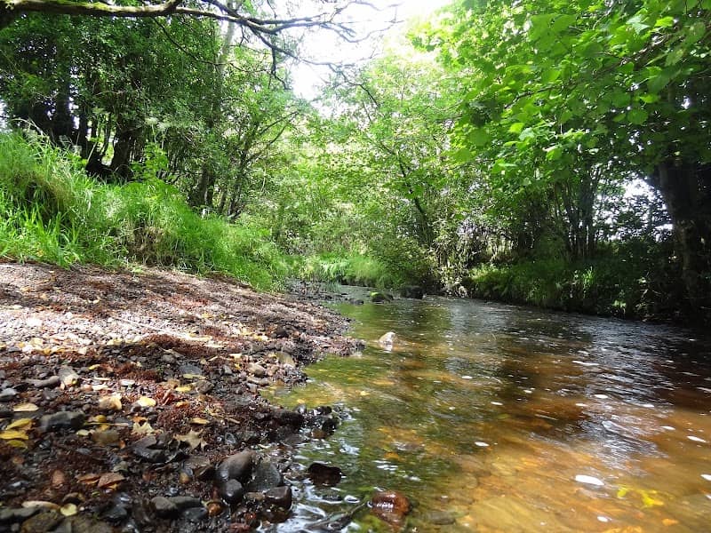 Drumnaph Nature Reserve - Image 2