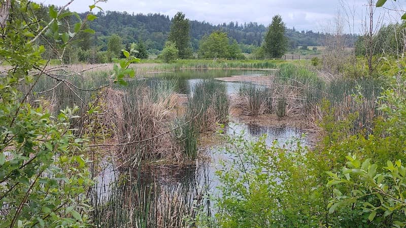 Jenna's Pond - Image 2