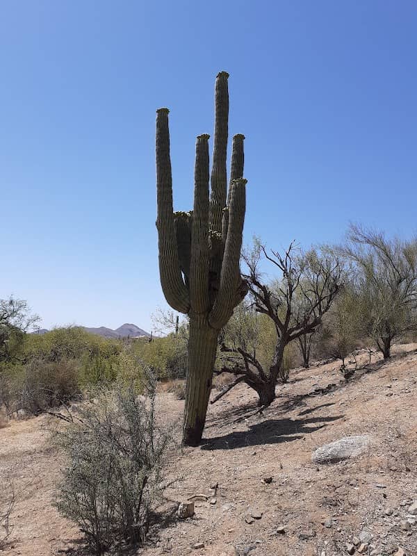 Desert Awareness Park - Image 1