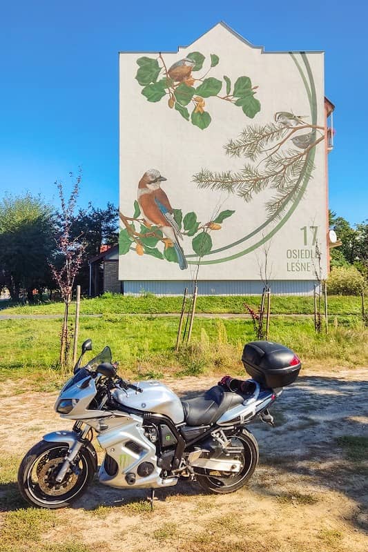 Ptasi mural w Koziegłowach. - Image 1