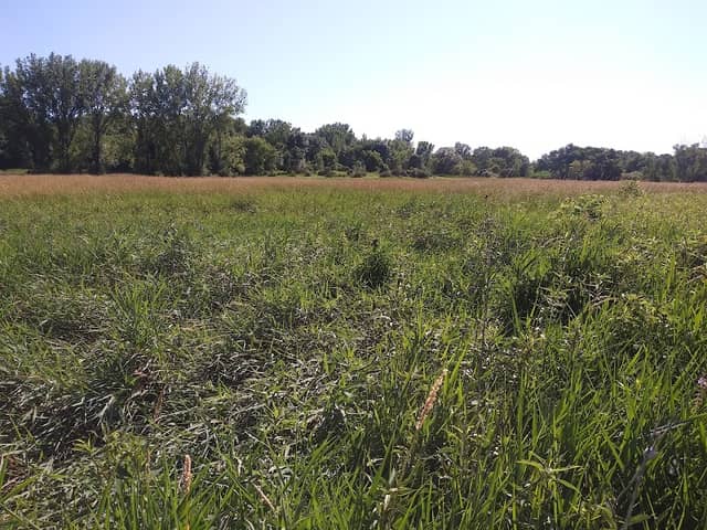 Albert Lea Audubon Nature Preserve - Image 2
