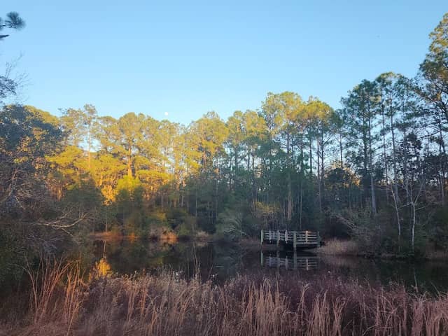City Of Gulf Shores Wetlands Park - Image 1