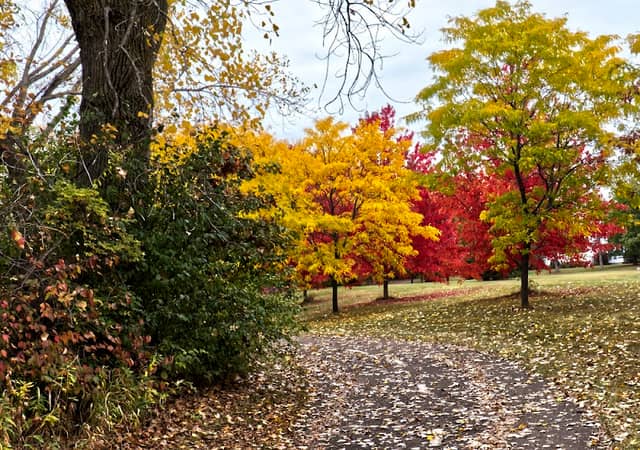 Edgewater Park - Image 1