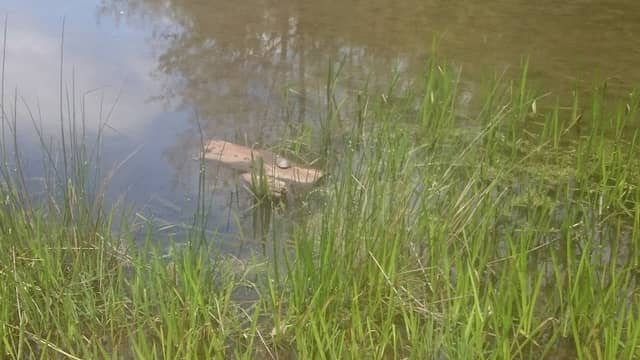 Bimini Lake - Image 1
