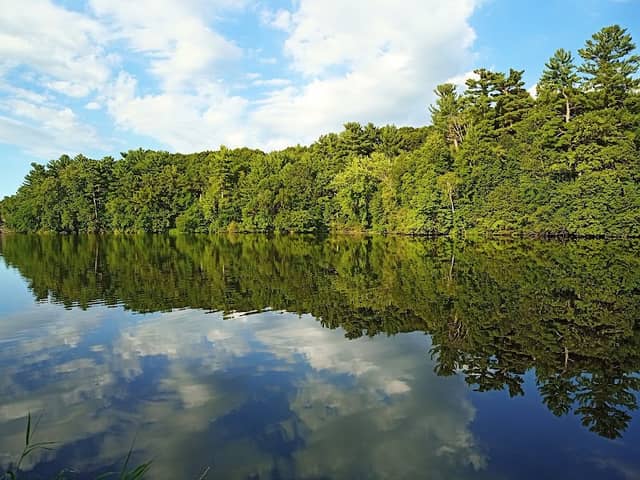 Zielie PARK - Image 1