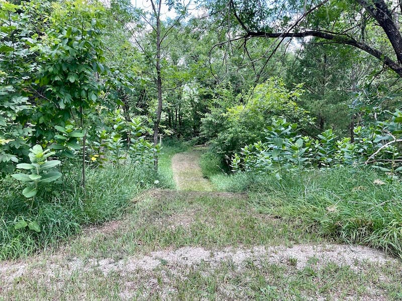 Doodlebug Walking Trail - Image 1