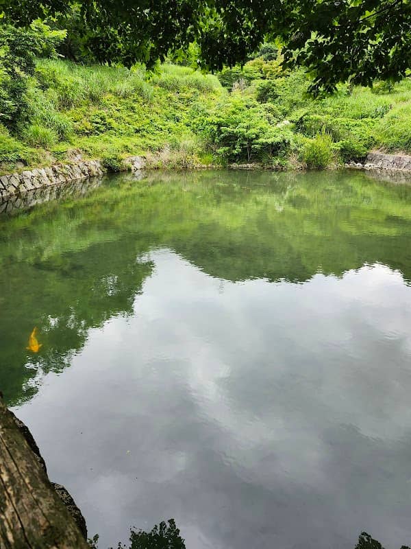高倉山の湧き水 - Image 2
