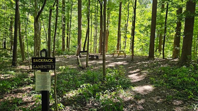 Bloodroot trail -Remote campsite #3 - Image 1