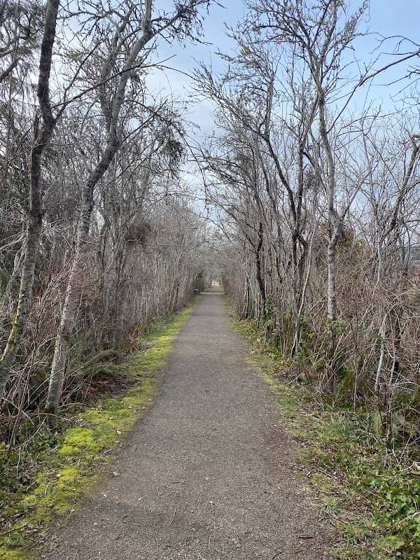 Theler Wetlands Trail - Image 1