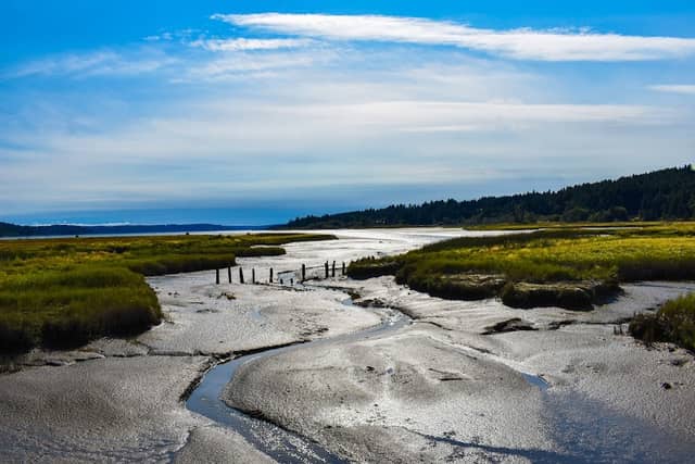Theler Wetlands Trail - Image 2