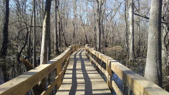 Waccamaw River Park - Image 3