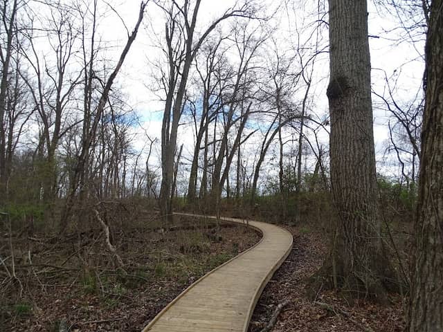White Oak Trail - Image 1