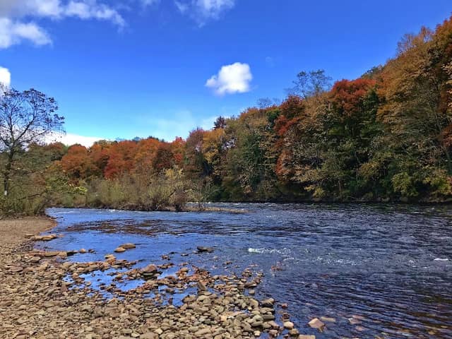 Lehigh Gorge State Park - Image 3