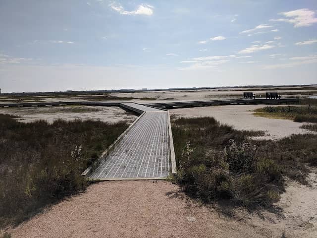 Port Aransas Nature Preserve at Charlie's Pasture - Image 3