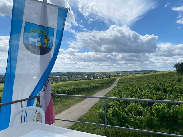 Weinbergshäuschen Kirch - Image 2