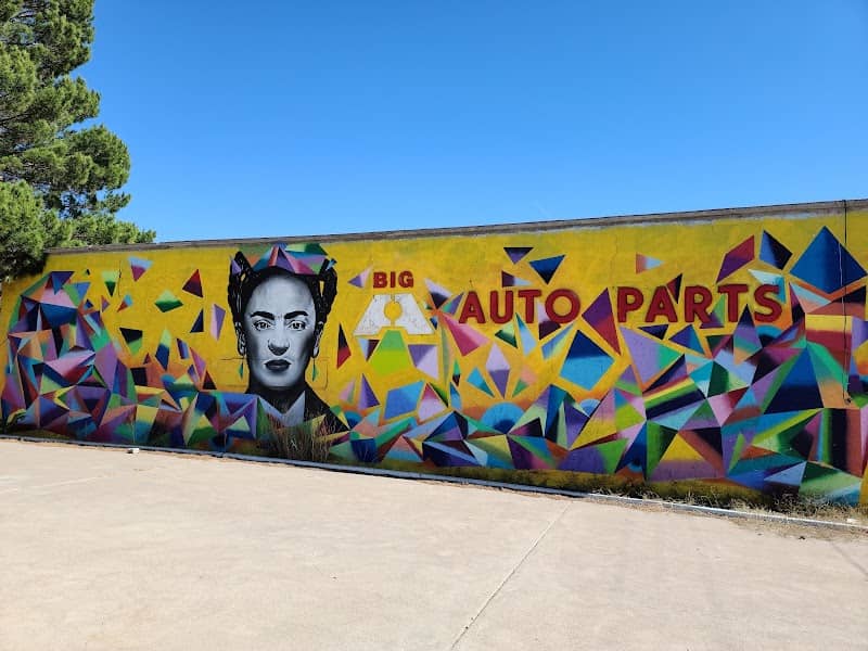 Frida Kahlo Mural - Image 1