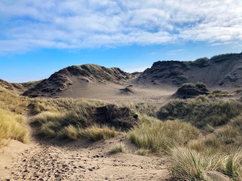 Ravenmeols Local Nature Reserve - Image 2